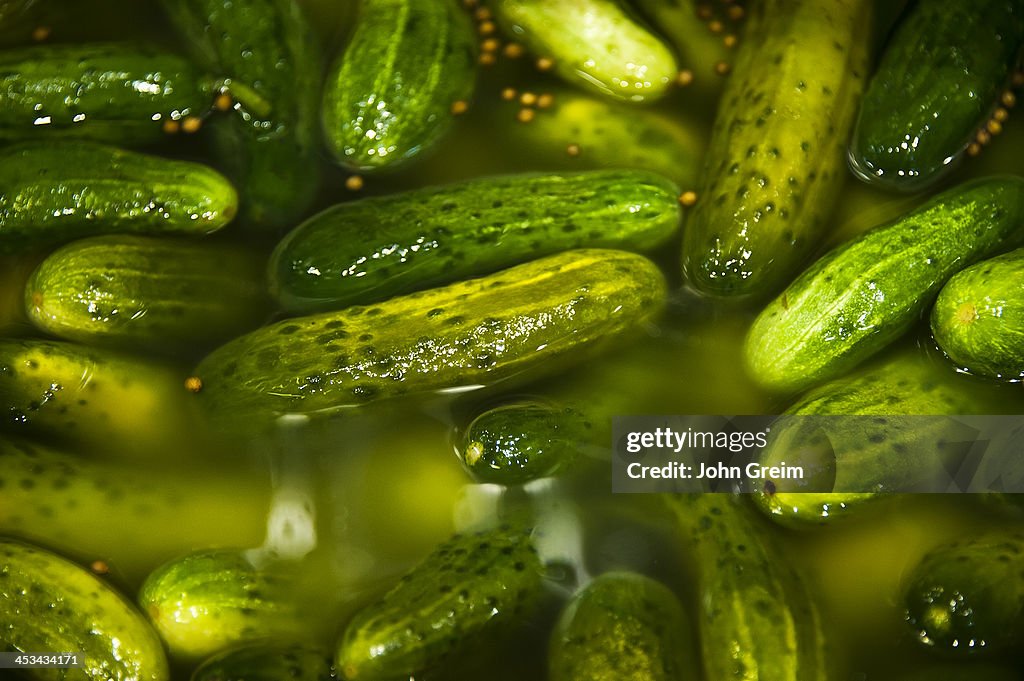 Barrel of pickles...