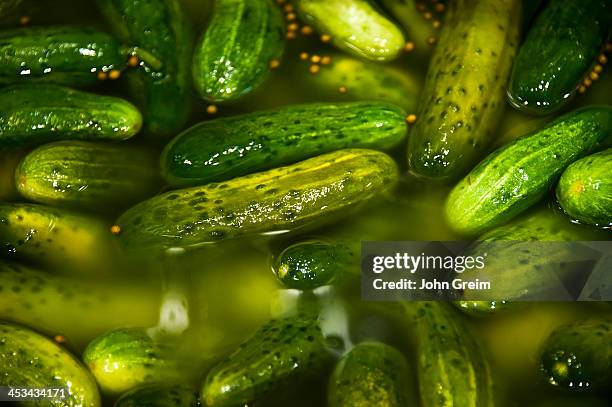 Barrel of pickles.