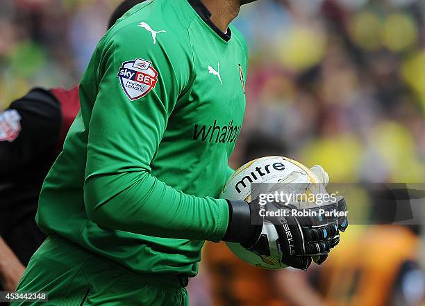 The Sky Bet Championship shirt badge is seen during the Sky Bet Championship match between Wolverhampton Wanderers and Norwich City at the Molineux...