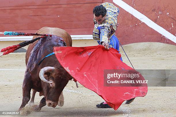 Spanish matador Yvan Fandino performs a pass on bull as part of the Bayonne corrida, on August 10, 2014 in Bayonne. AFP PHOTO DANIEL VELEZ