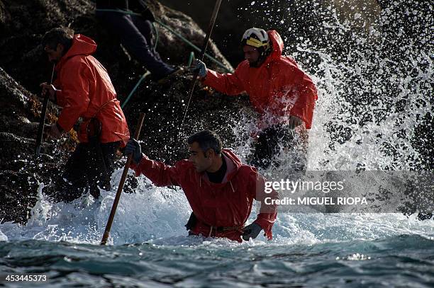 Galician "Percebeiros" collect barnacles from the rocks at Vido Bay, near the village of Cangas, on November 27, 2013. Christmas diners pay...