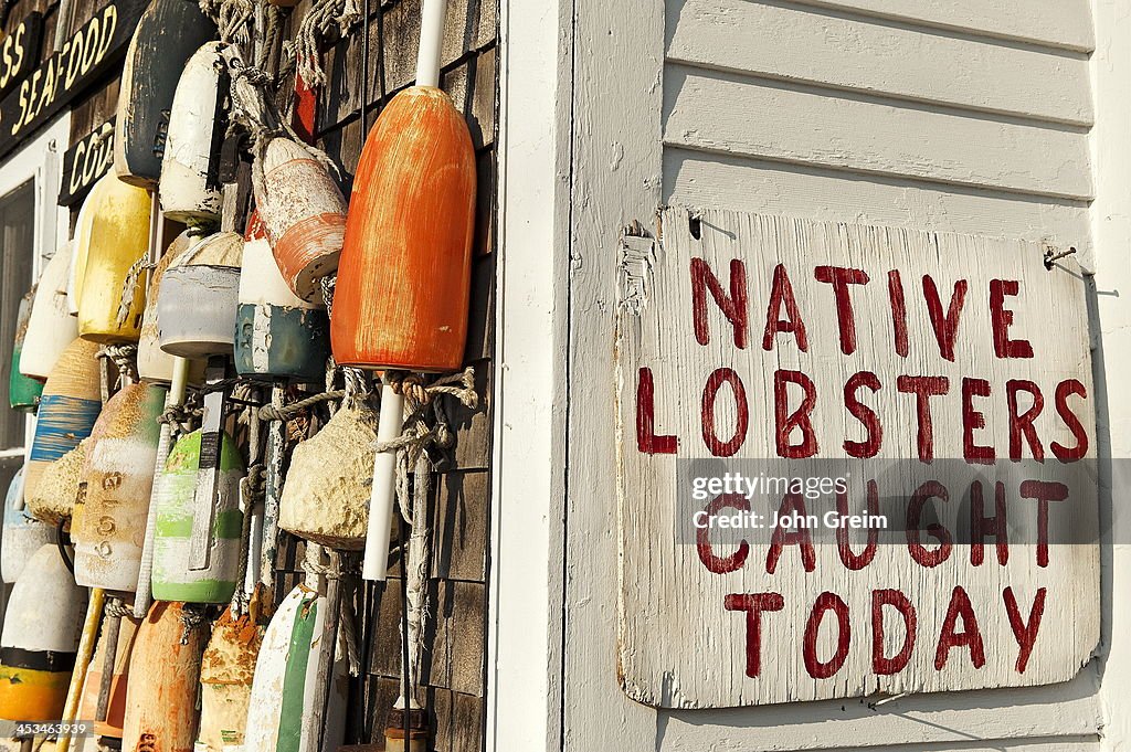 Fresh lobster sign on seafood shack...