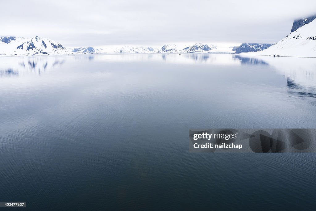 Svalbard in the Arctic