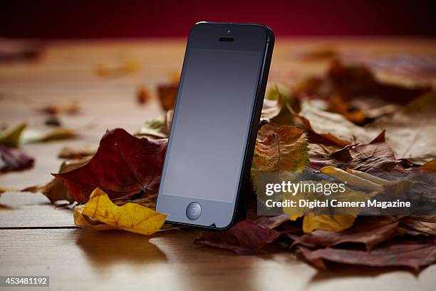 An Apple iPhone 5 photographed on a bed of autumn leaves, taken on October 8, 2013.