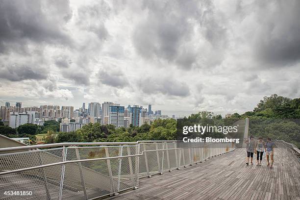 Pedestrians walk along the Henderson Waves bridge as residential buildings stand in public housing estates in the Talok Blangah district of...