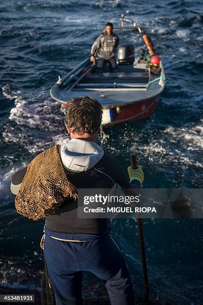 Galician "Percebeiro" waits for a boat after collecting barnacles from the rocks near the village of Cangas, on November 27, 2013. Christmas diners...