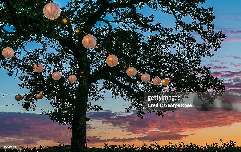 California 2014 Grape Harvest Set To Begin