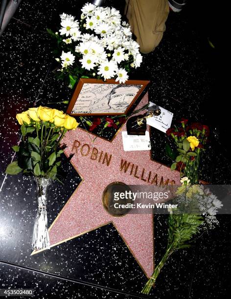 Actor Robin Williams' star is seen on the Hollywood Walk of Fame on August 11, 2014 in Los Angeles, California.