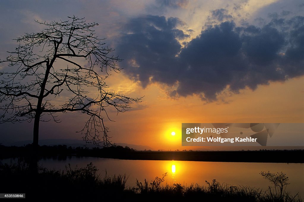 India, Assam , Kaziranga National Park, Sunset...