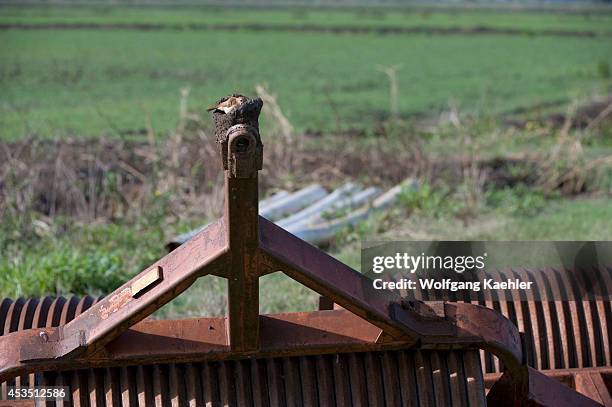 Brazil, Southern Pantanal, San Francisco Ranch, Rufous HORNEROna Or Ovenbird Building Nest Out Of Mud On Farming Equipment.