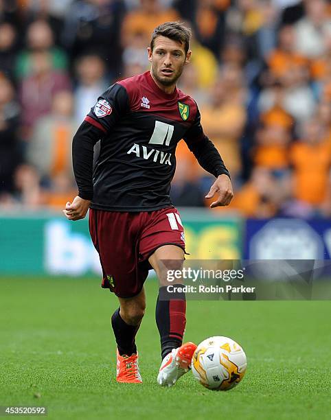 Wesley Hoolahan of Norwich City during the Sky Bet Championship match between Wolverhampton Wanderers and Norwich City at the Molineux Stadium on...