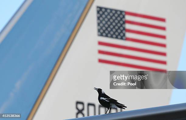 An Australian magpie stands on the wing of U.S. Secretary of State John Kerry plane before departing on August 13, 2014 in Sydney, Australia. US...