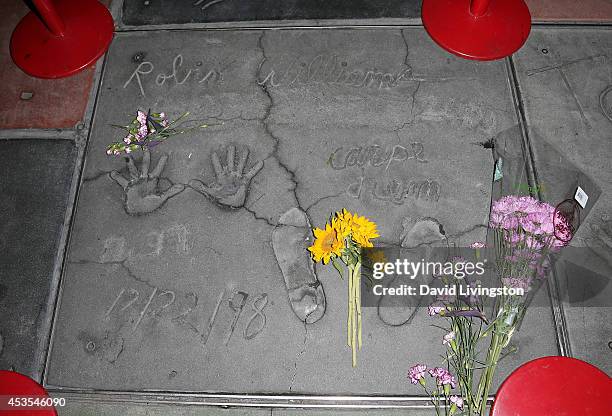 Actor Robin Williams hand and footprints are seen at the TCL Chinese Theatre on August 12, 2014 in Los Angeles, California.