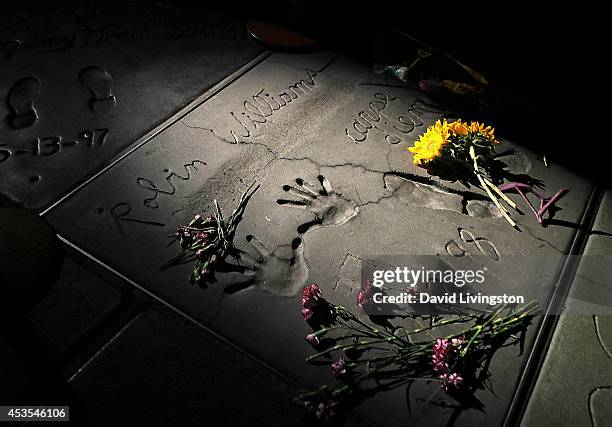 Single spotlight shines on the hand and footprints of actor Robin Williams during a ceremony to honor him at the TCL Chinese Theatre on August 12,...