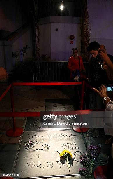 Single spotlight shines on the hand and footprints of actor Robin Williams to honor him at the TCL Chinese Theatre on August 12, 2014 in Los Angeles,...