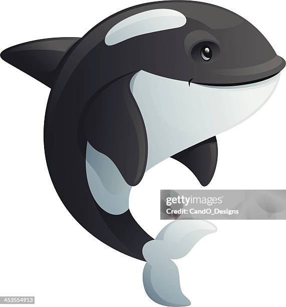 killer whale - killer whale stock illustrations