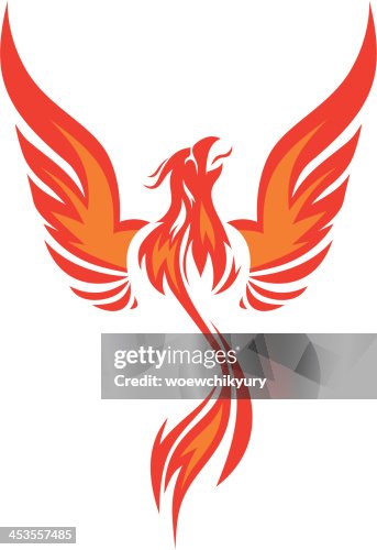 Phoenix Vector High-Res Vector Graphic - Getty Images