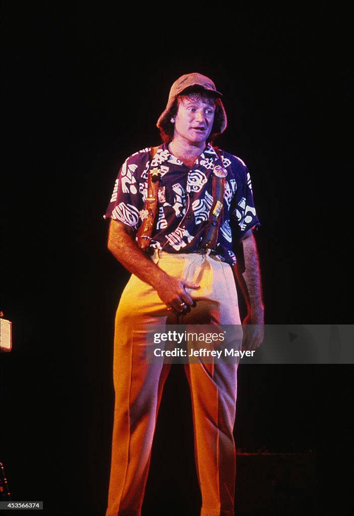 Robin Concert Robin Williams in concert at the Great American Music Hall on October ...