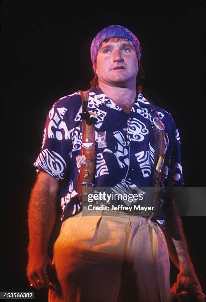 Robin File Musician Robin Williams San Francisco Photos and Premium High Res Pictures ...