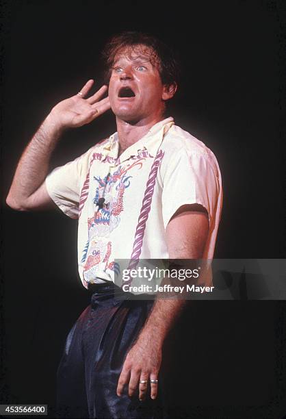 Robin File Musician Robin Williams San Francisco Photos and Premium High Res Pictures ...