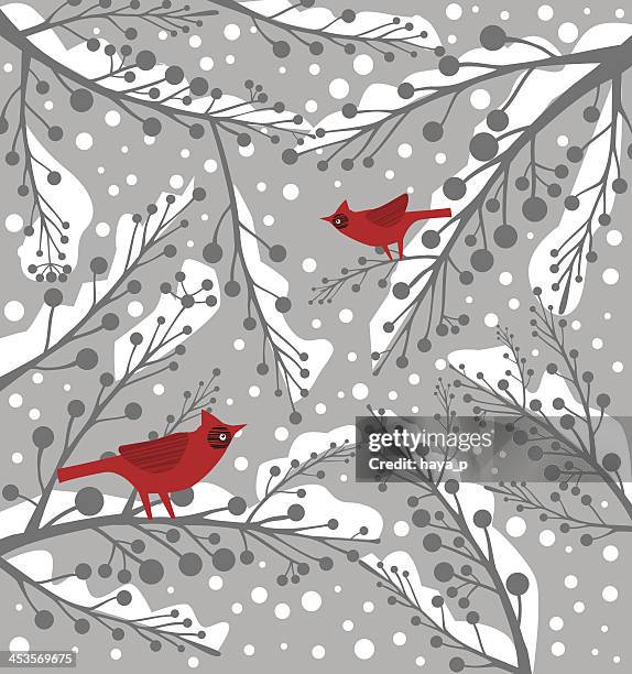 cardinal bird on branch in winter - cardinal bird stock illustrations
