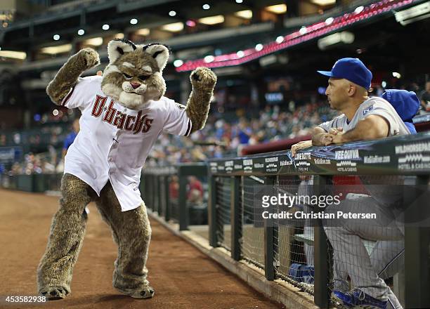 The Arizona Diamondbacks mascot, Baxter performs before the MLB game against the Kansas City Royals at Chase Field on August 7, 2014 in Phoenix,...