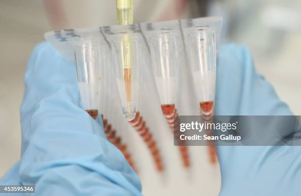 Icon Genetics Provides Technology For Possible Ebola Treatment Icon Genetics Provides Technology For Possible Ebola Treatment