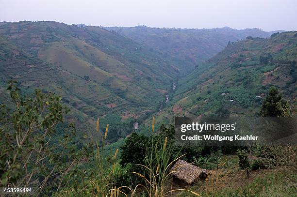 Uganda, Near Rukungiri, Landscape With Hut And Banana Fields.