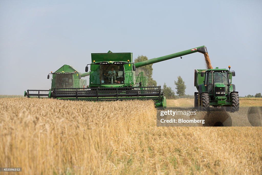 Russian Wheat Harvest Using Deere & Co. Farming Machinery