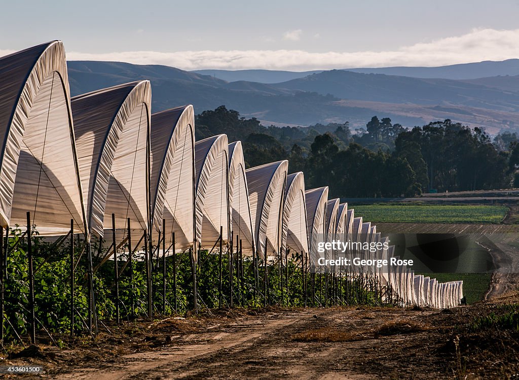 Exploring Santa Barbara's Wine Country