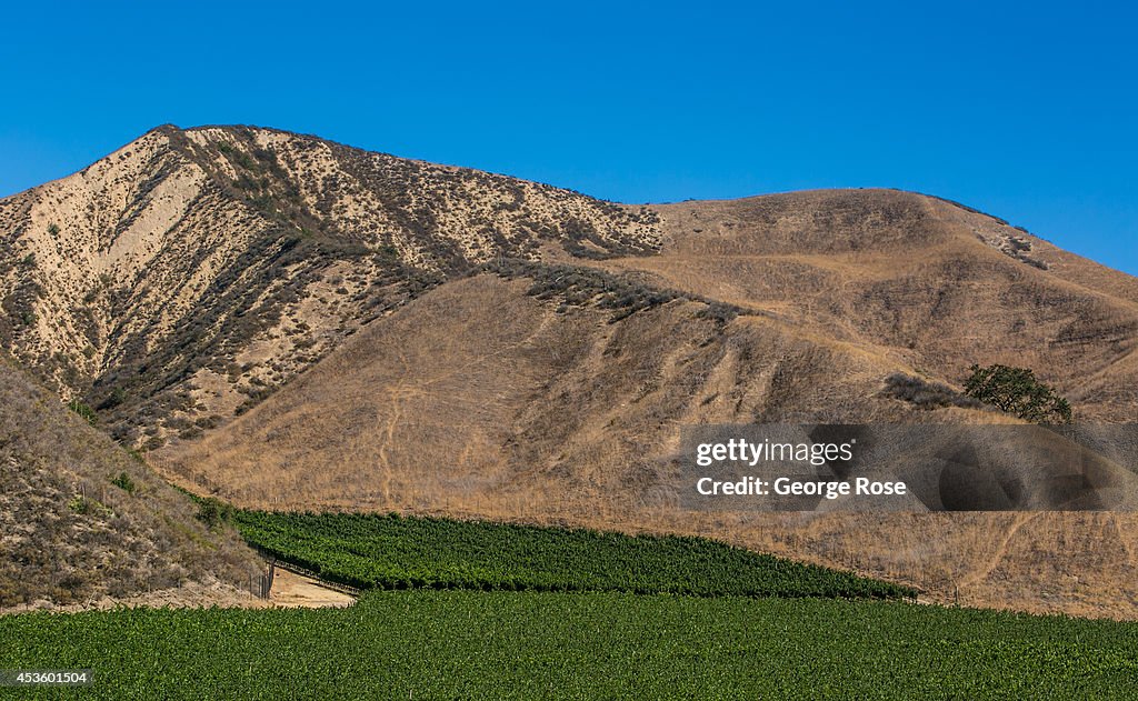 Exploring Santa Barbara's Wine Country