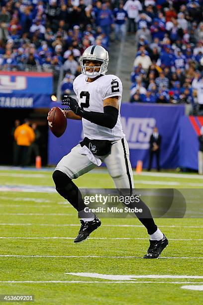 Terrelle Pryor of the Oakland Raiders in action against the New York Giants at MetLife Stadium on November 10, 2013 in East Rutherford, New Jersey....
