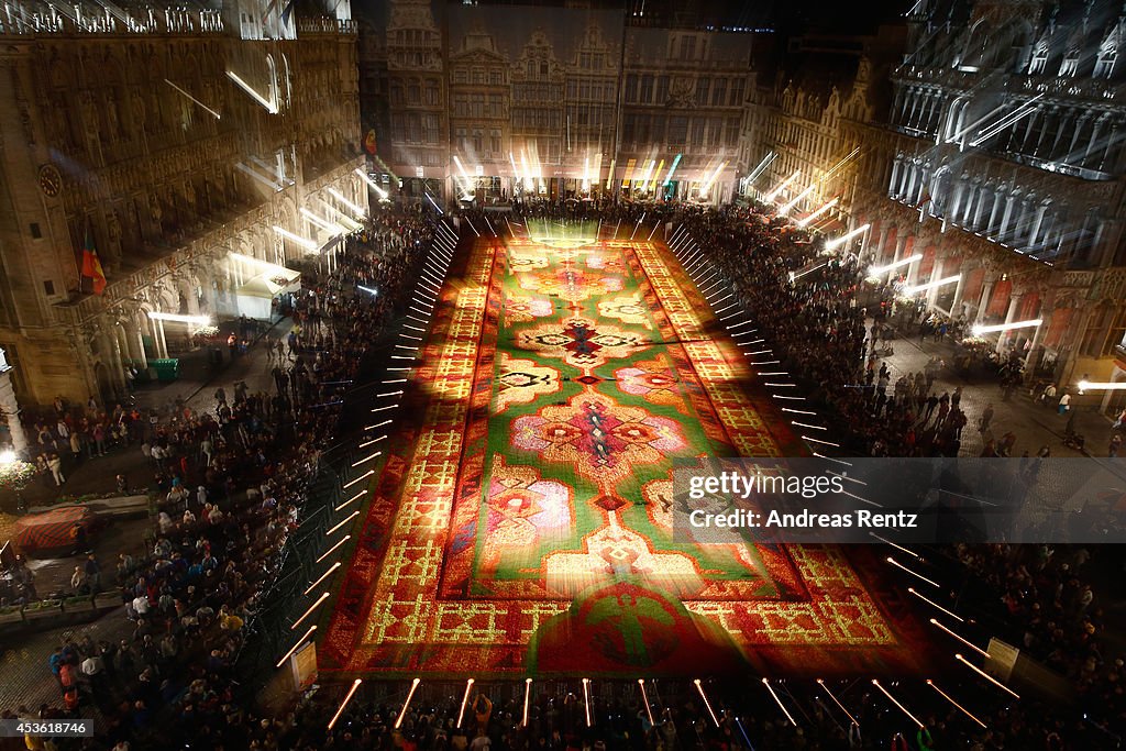 Flower Carpet 2014 In Brussels