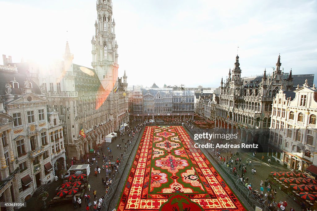 Flower Carpet 2014 In Brussels