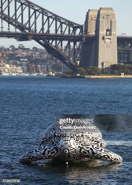 To celebrate the World's First Undersea Art Exhibition, a 5 metre tall, 15 metre long Sea Turtle cruises past Sydney Harbour at Mrs Macquarie's Chair...