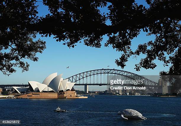 To celebrate the World's First Undersea Art Exhibition, a 5 metre tall, 15 metre long Sea Turtle cruises past Sydney Harbour at Mrs Macquarie's Chair...
