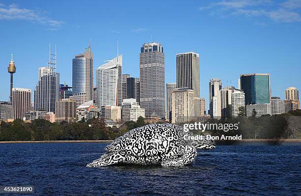 To celebrate the World's First Undersea Art Exhibition, a 5 metre tall, 15 metre long Sea Turtle cruises past Sydney Harbour at Mrs Macquarie's Chair...