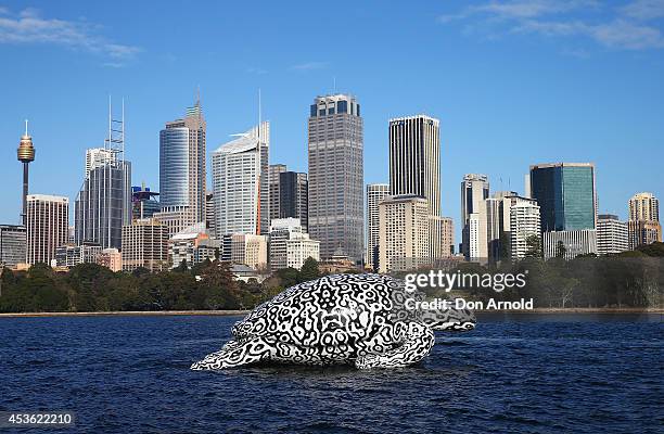 To celebrate the World's First Undersea Art Exhibition, a 5 metre tall, 15 metre long Sea Turtle cruises past Sydney Harbour at Mrs Macquarie's Chair...