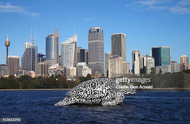 To celebrate the World's First Undersea Art Exhibition, a 5 metre tall, 15 metre long Sea Turtle cruises past Sydney Harbour at Mrs Macquarie's Chair...