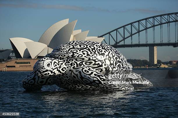 To celebrate the World's First Undersea Art Exhibition, a 5 metre tall, 15 metre long Sea Turtle cruises past Sydney Harbour at Mrs Macquarie's Chair...