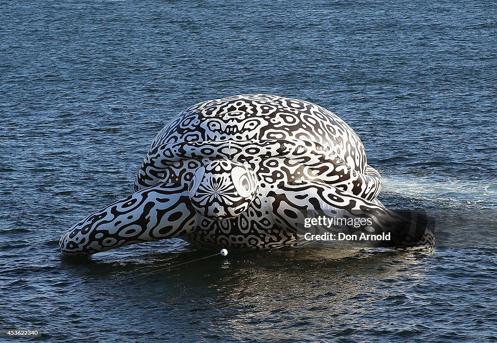 Gigantic Sea Turtle Sculpture Floats Past Sydney Harbour Bridge and Sydney Opera House