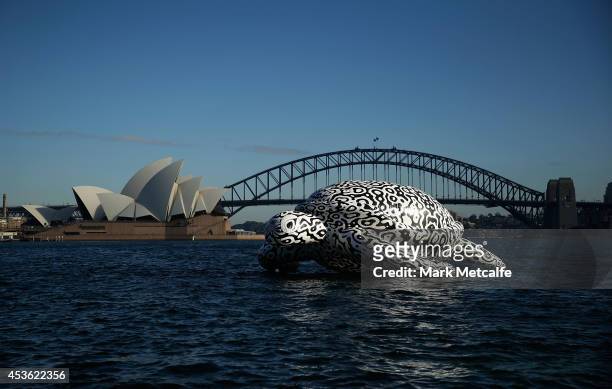 To celebrate the World's First Undersea Art Exhibition, a 5 metre tall, 15 metre long Sea Turtle cruises past Sydney Harbour at Mrs Macquarie's Chair...