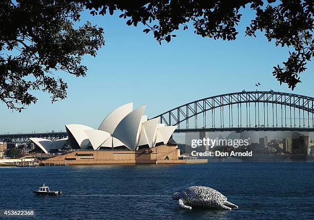 To celebrate the World's First Undersea Art Exhibition, a 5 metre tall, 15 metre long Sea Turtle cruises past Sydney Harbour at Mrs Macquarie's Chair...