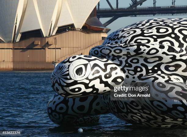 To celebrate the World's First Undersea Art Exhibition, a 5 metre tall, 15 metre long Sea Turtle cruises past Sydney Harbour at Mrs Macquarie's Chair...