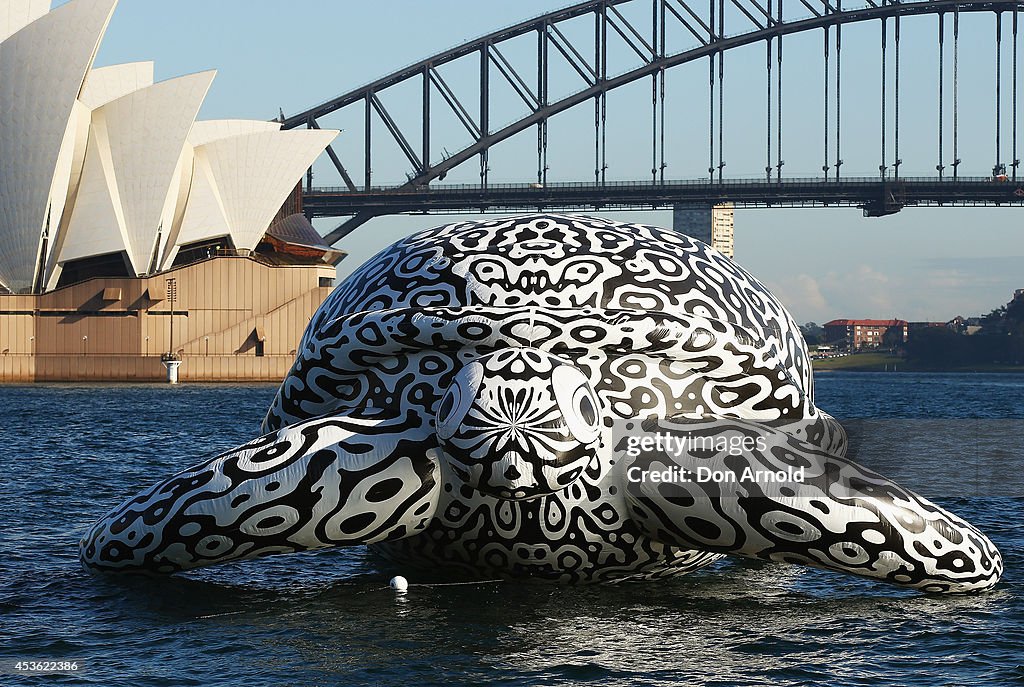 Gigantic Sea Turtle Sculpture Floats Past Sydney Harbour Bridge and Sydney Opera House