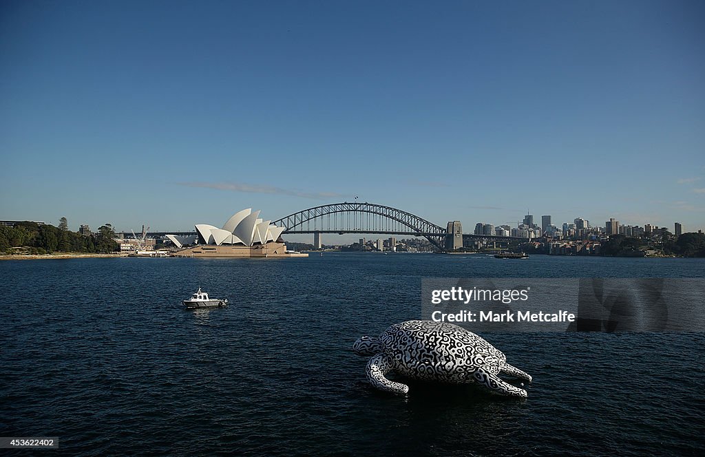 Gigantic Sea Turtle Sculpture Floats Past Sydney Harbour Bridge and Sydney Opera House