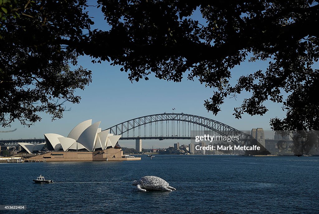 Gigantic Sea Turtle Sculpture Floats Past Sydney Harbour Bridge and Sydney Opera House