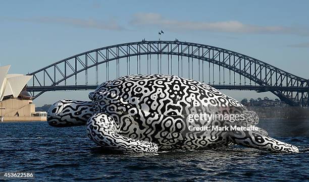 To celebrate the World's First Undersea Art Exhibition, a 5 metre tall, 15 metre long Sea Turtle cruises past Sydney Harbour at Mrs Macquarie's Chair...