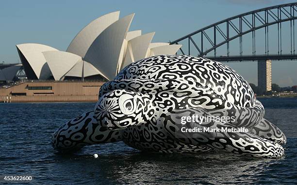 To celebrate the World's First Undersea Art Exhibition, a 5 metre tall, 15 metre long Sea Turtle cruises past Sydney Harbour at Mrs Macquarie's Chair...