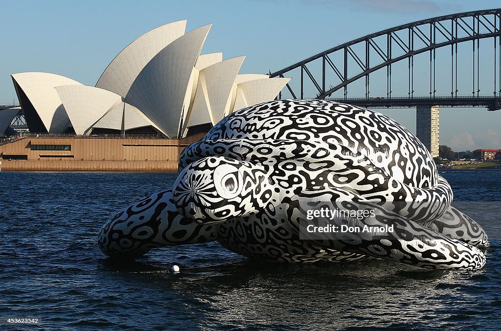 Gigantic Sea Turtle Sculpture Floats Past Sydney Harbour Bridge and Sydney Opera House